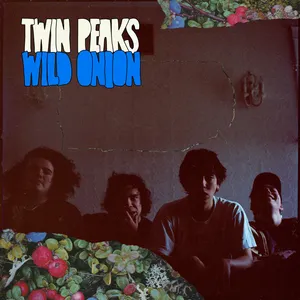 Album art for Wild Onion by Twin Peaks