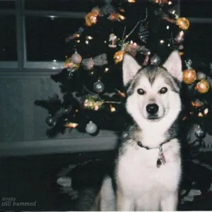 Album art for still bummed by Nouns