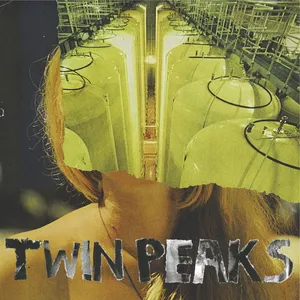 Album art for Sunken by Twin Peaks